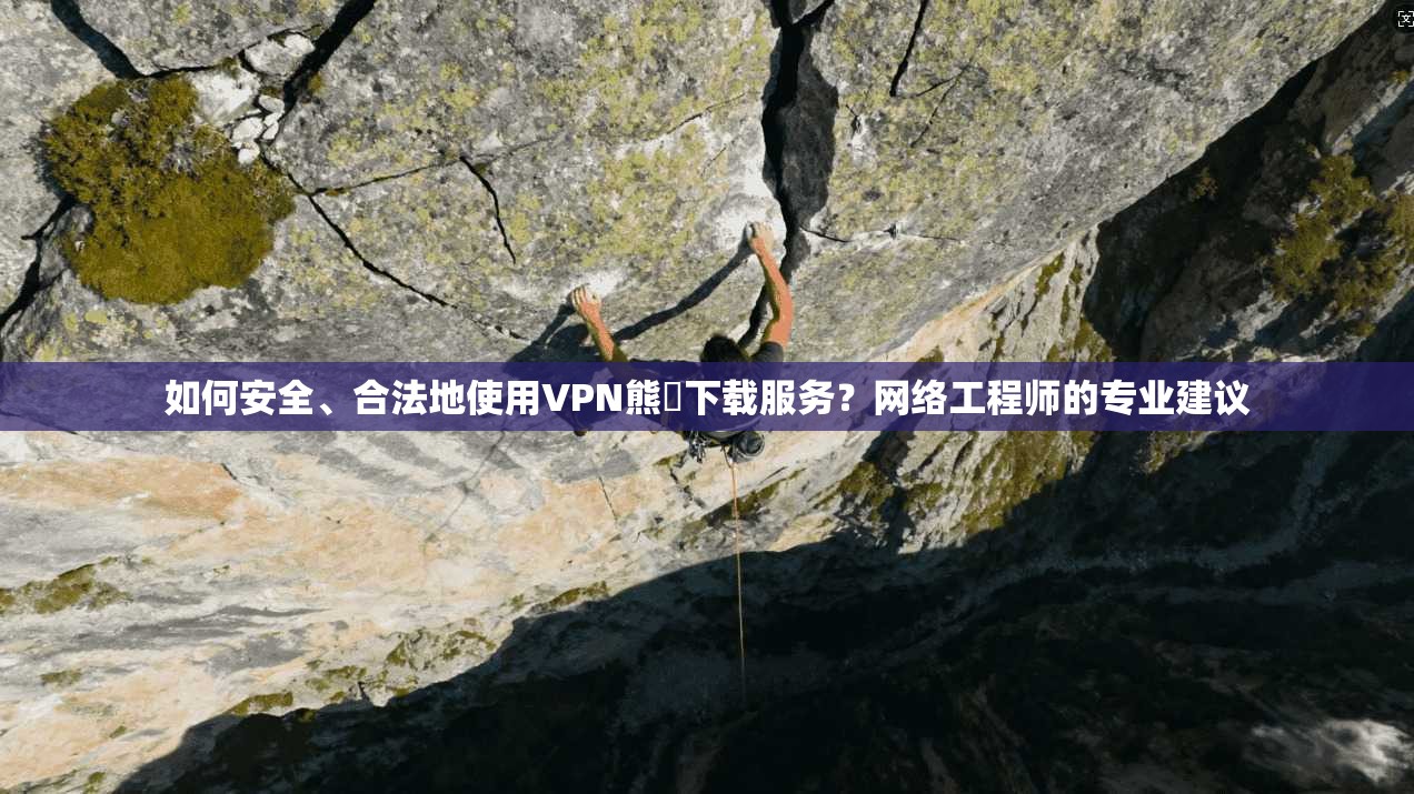 如何安全、合法地使用VPN熊貓下载服务?网络工程师的专业建议 如何安全、合法地使用VPN熊貓下载服务?网络工程师的专业建议