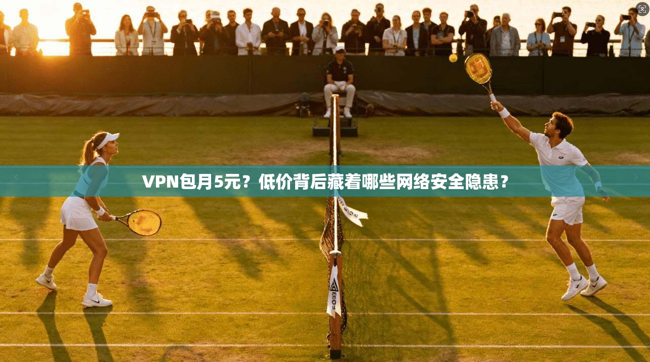 VPN包月5元？低价背后藏着哪些网络安全隐患？