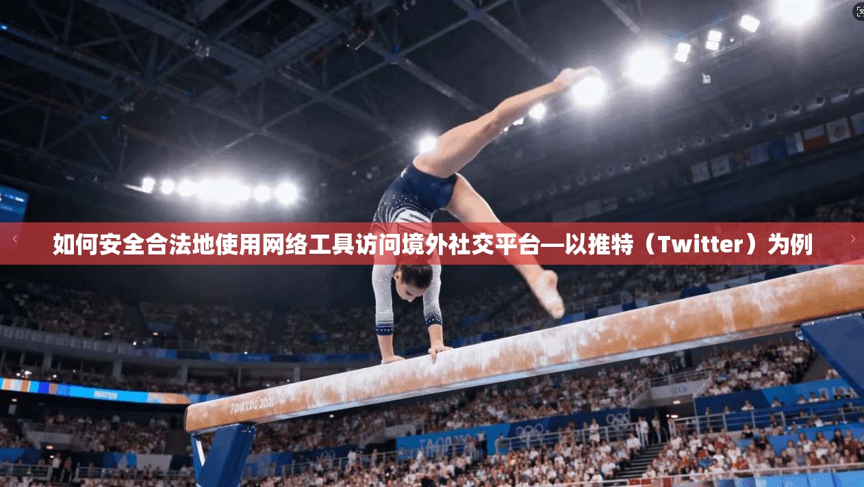 如何安全合法地使用网络工具访问境外社交平台—以推特（Twitter）为例