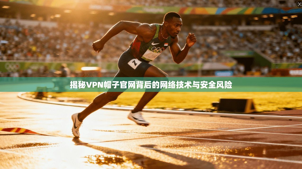 揭秘VPN帽子官网背后的网络技术与安全风险