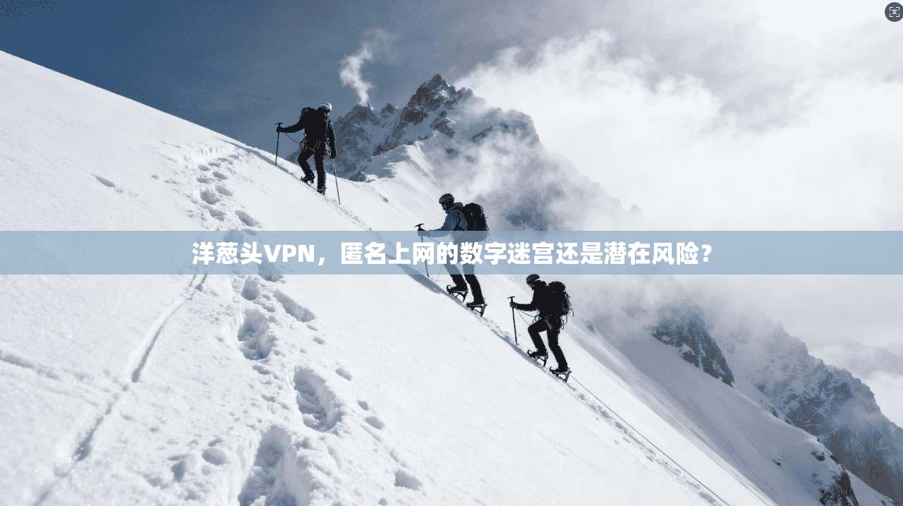 洋葱头VPN,匿名上网的数字迷宫还是潜在风险? 洋葱头VPN,匿名上网的数字迷宫还是潜在风险?