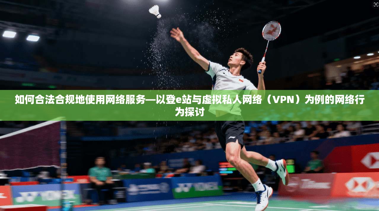 如何合法合规地使用网络服务—以登e站与虚拟私人网络（VPN）为例的网络行为探讨