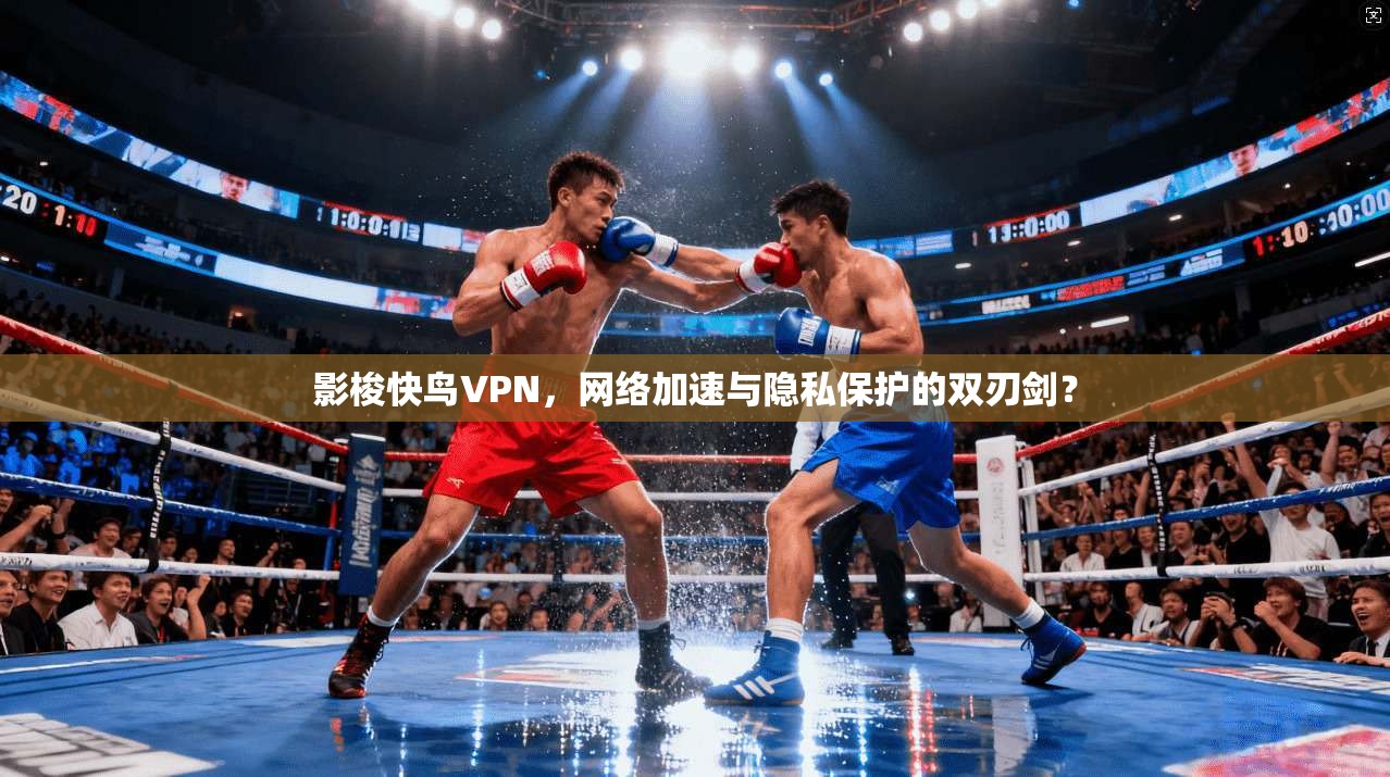 影梭快鸟VPN，网络加速与隐私保护的双刃剑？