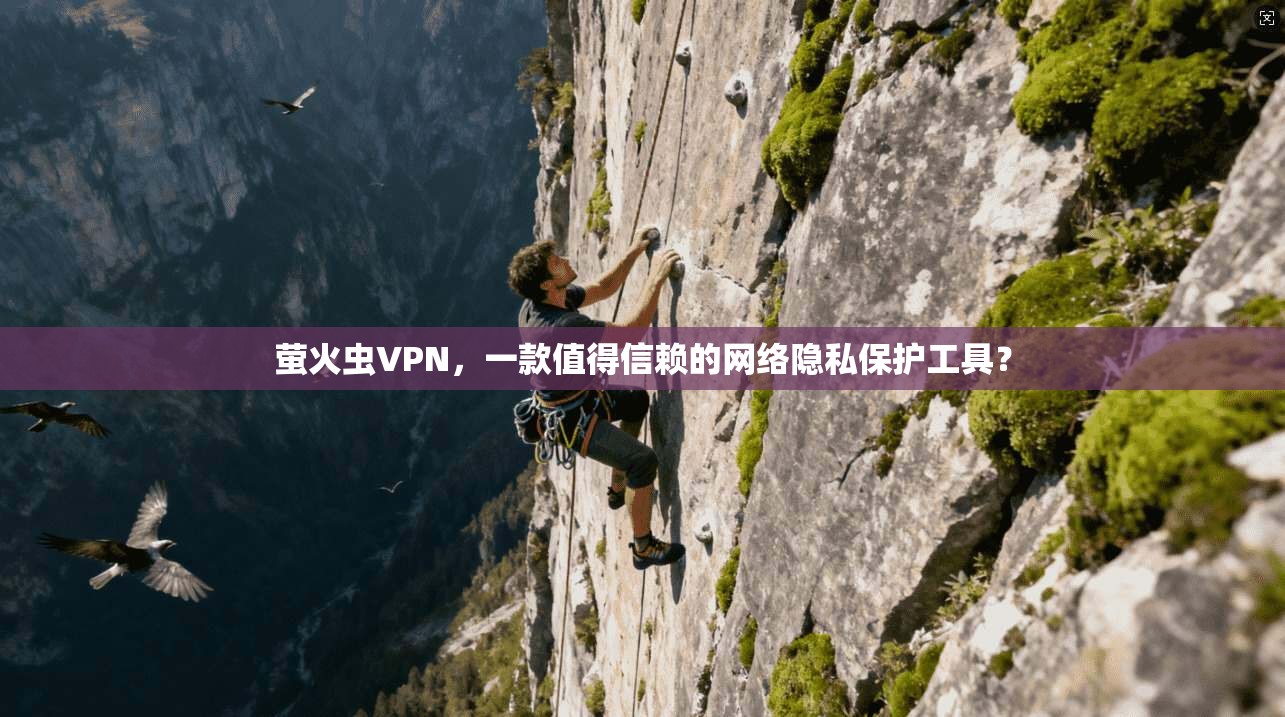 萤火虫VPN,一款值得信赖的网络隐私保护工具? 萤火虫VPN,一款值得信赖的网络隐私保护工具?