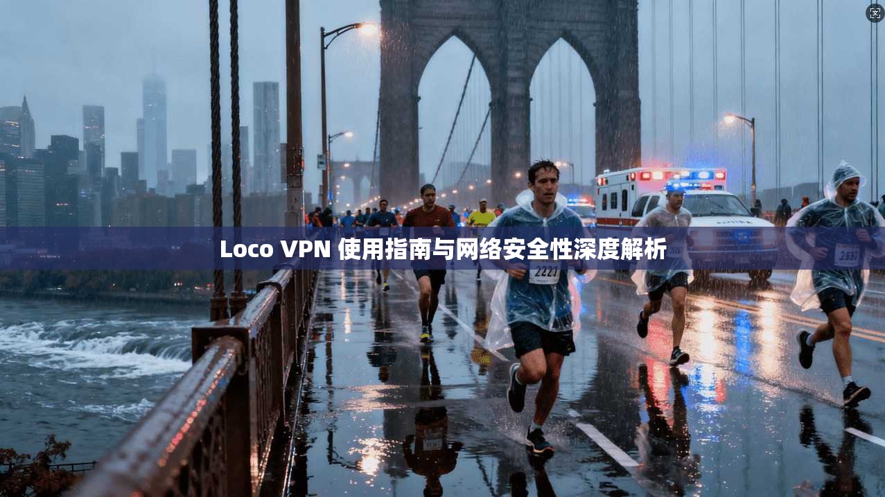 Loco VPN 使用指南与网络安全性深度解析