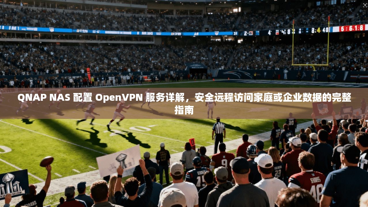 QNAP NAS 配置 OpenVPN 服务详解,安全远程访问家庭或企业数据的完整指南 QNAP NAS 配置 OpenVPN 服务详解,安全远程访问家庭或企业数据的完整指南