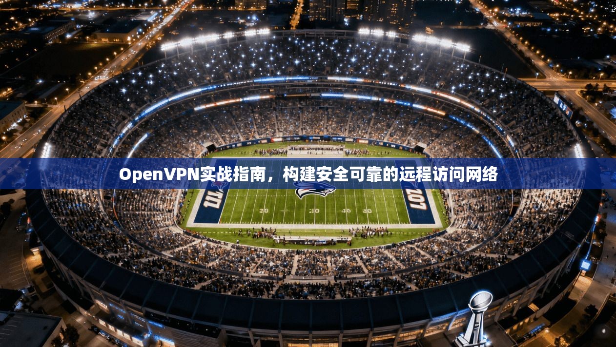 OpenVPN实战指南，构建安全可靠的远程访问网络
