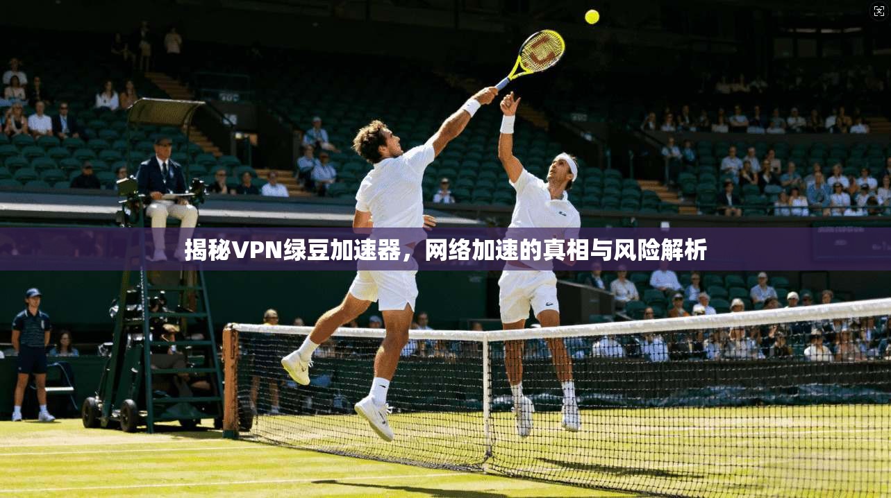 揭秘VPN绿豆加速器，网络加速的真相与风险解析