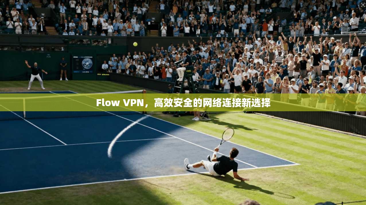 Flow VPN，高效安全的网络连接新选择