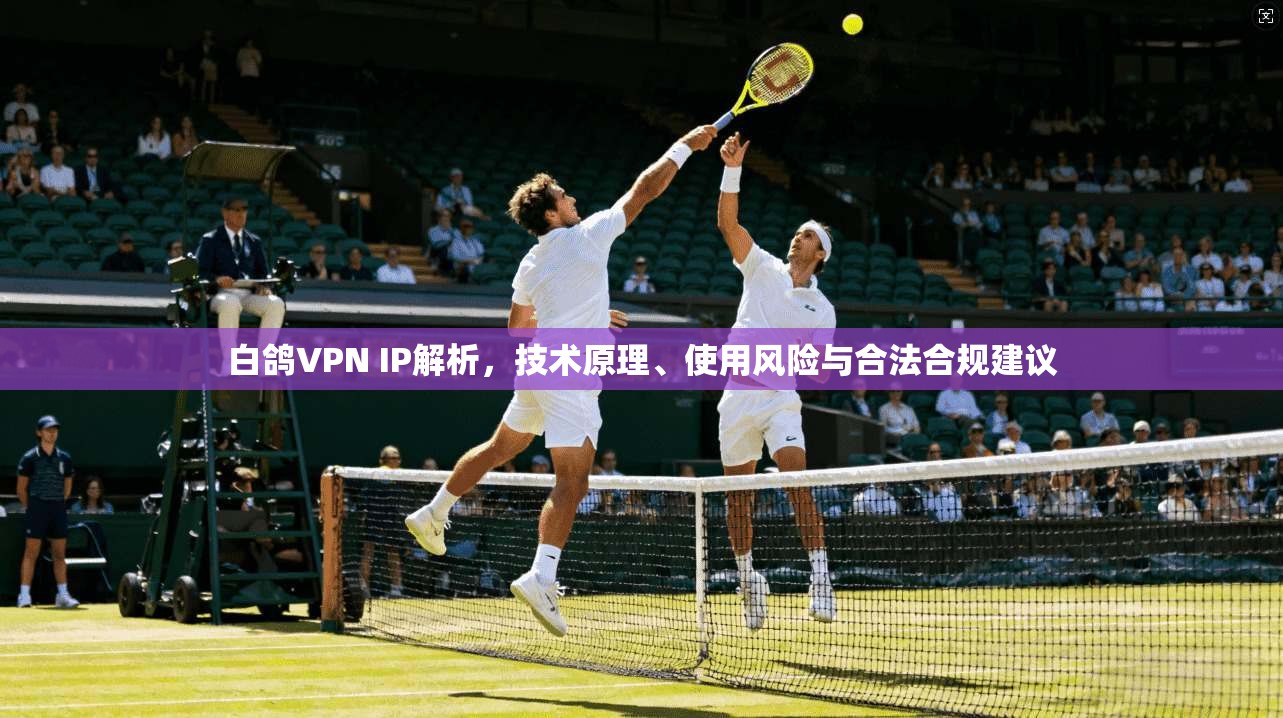 白鸽VPN IP解析，技术原理、使用风险与合法合规建议