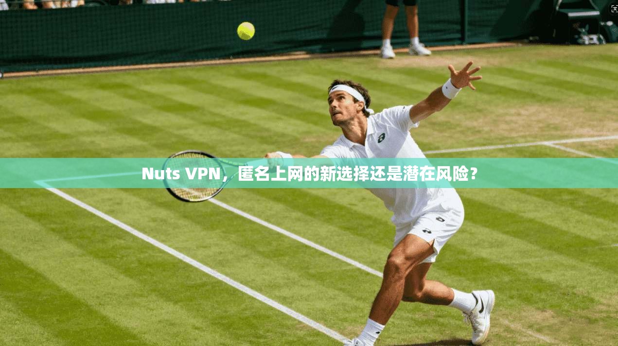 Nuts VPN，匿名上网的新选择还是潜在风险？