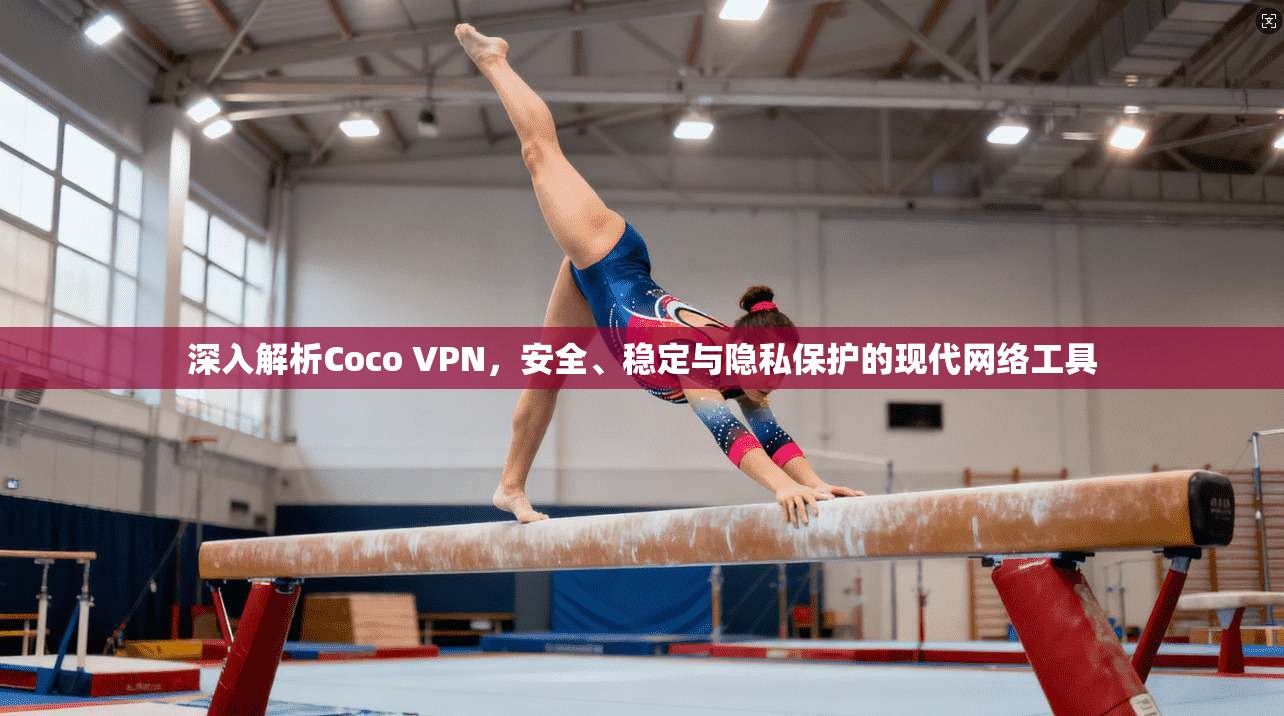 深入解析Coco VPN，安全、稳定与隐私保护的现代网络工具