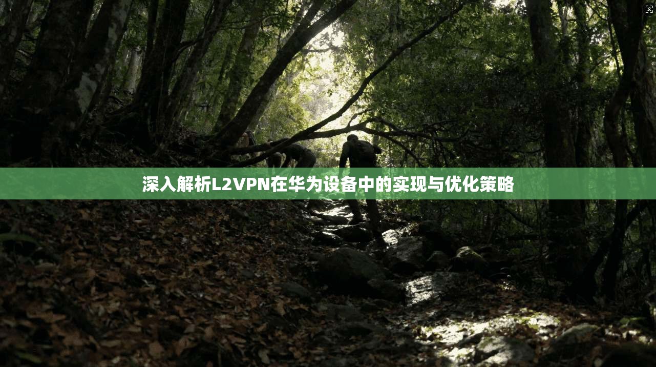 深入解析L2VPN在华为设备中的实现与优化策略