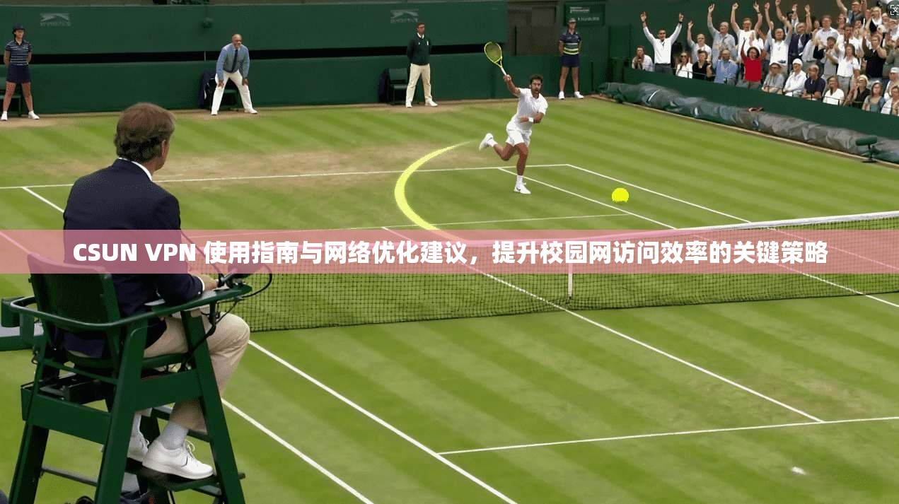 CSUN VPN 使用指南与网络优化建议，提升校园网访问效率的关键策略