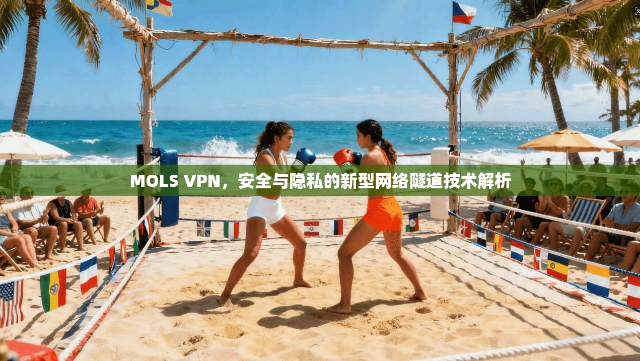 MOLS VPN，安全与隐私的新型网络隧道技术解析