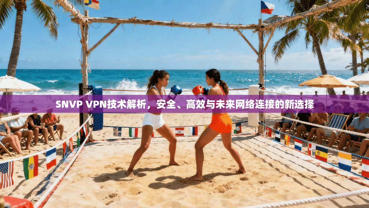 SNVP VPN技术解析，安全、高效与未来网络连接的新选择