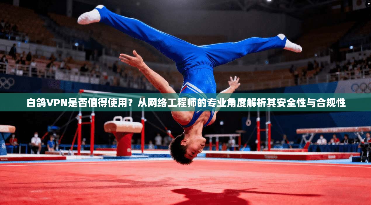 白鸽VPN是否值得使用？从网络工程师的专业角度解析其安全性与合规性