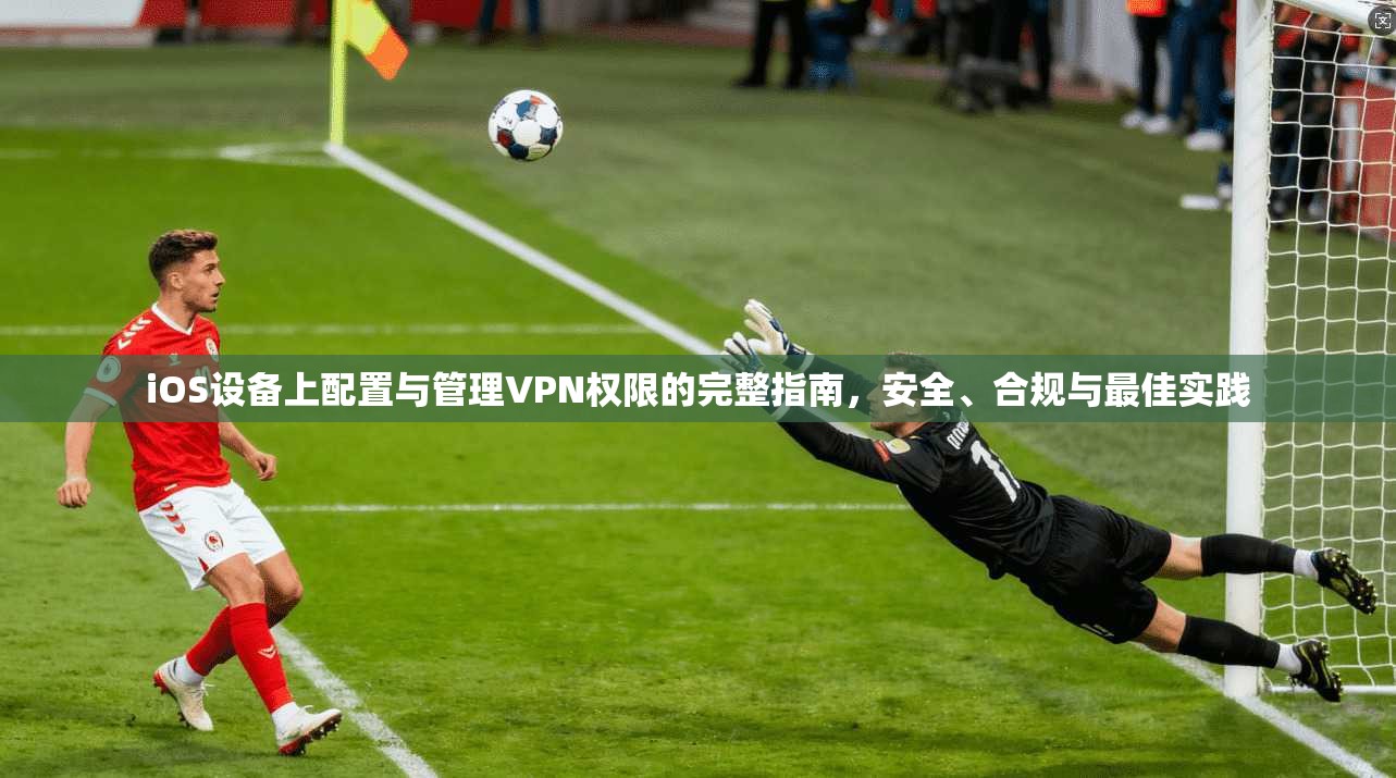 iOS设备上配置与管理VPN权限的完整指南，安全、合规与最佳实践