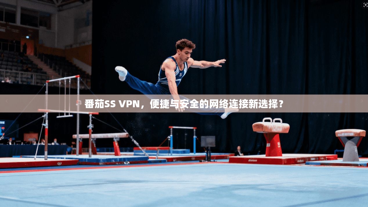番茄SS VPN，便捷与安全的网络连接新选择？