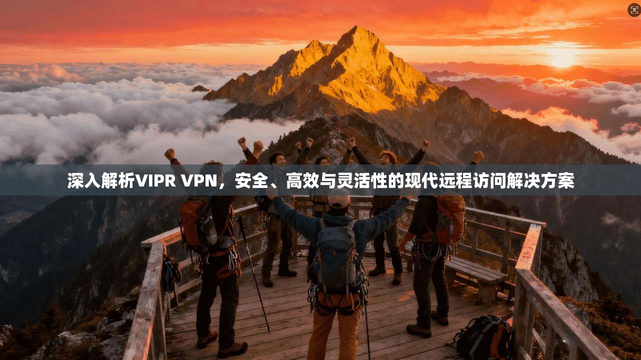 深入解析VIPR VPN，安全、高效与灵活性的现代远程访问解决方案