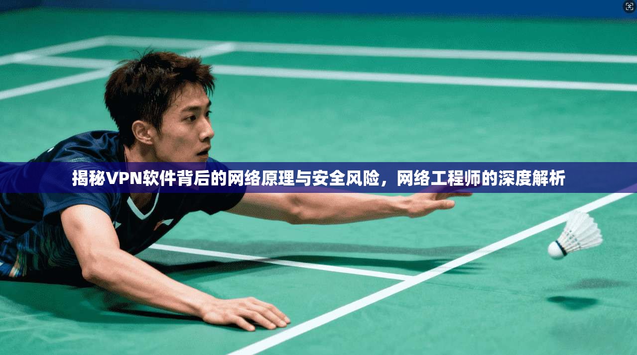 揭秘VPN软件背后的网络原理与安全风险，网络工程师的深度解析