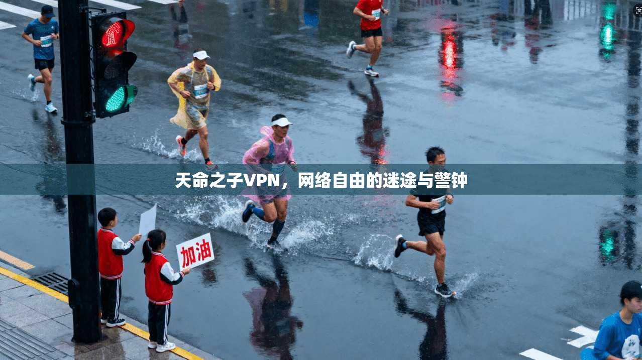 天命之子VPN，网络自由的迷途与警钟