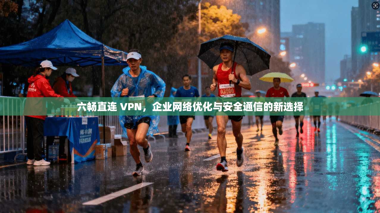 六畅直连 VPN,企业网络优化与安全通信的新选择 六畅直连 VPN,企业网络优化与安全通信的新选择