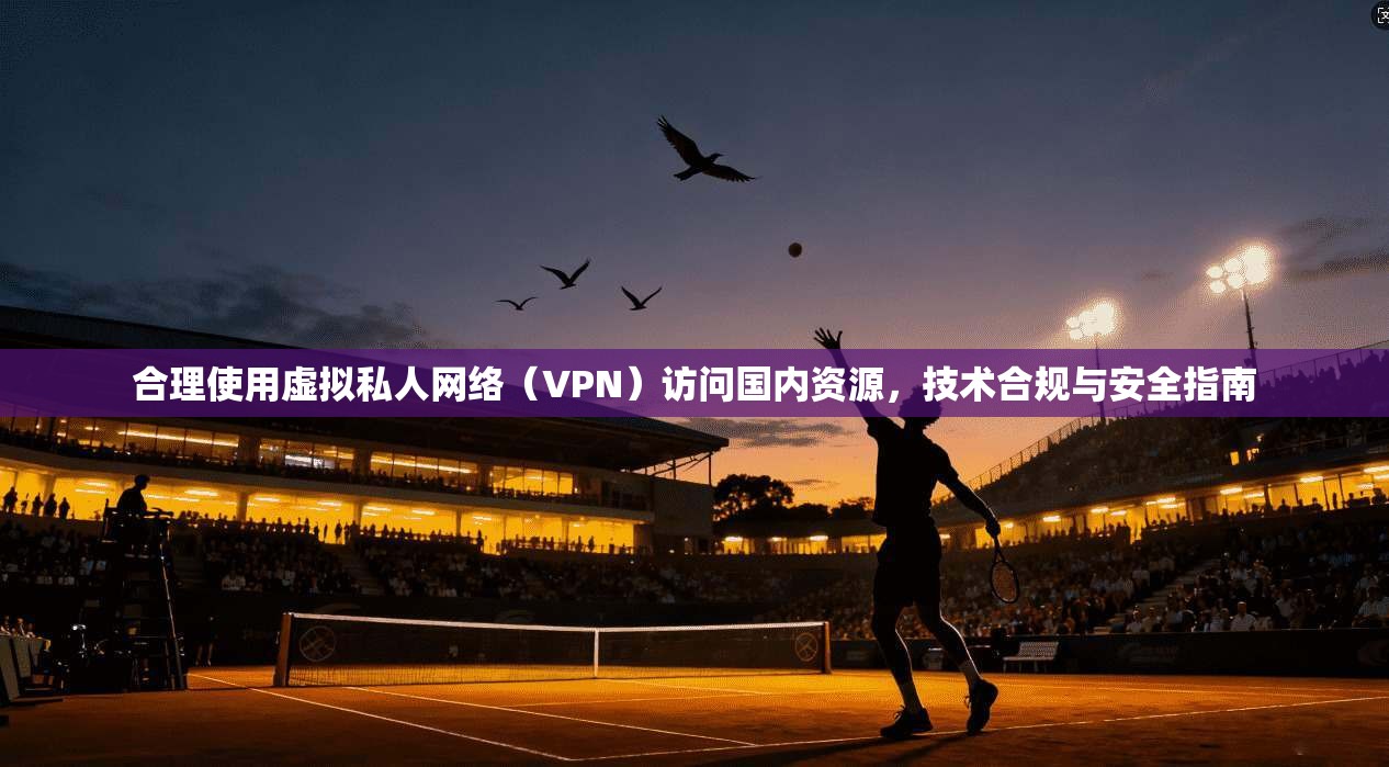 合理使用虚拟私人网络(VPN)访问国内资源,技术合规与安全指南 合理使用虚拟私人网络(VPN)访问国内资源,技术合规与安全指南