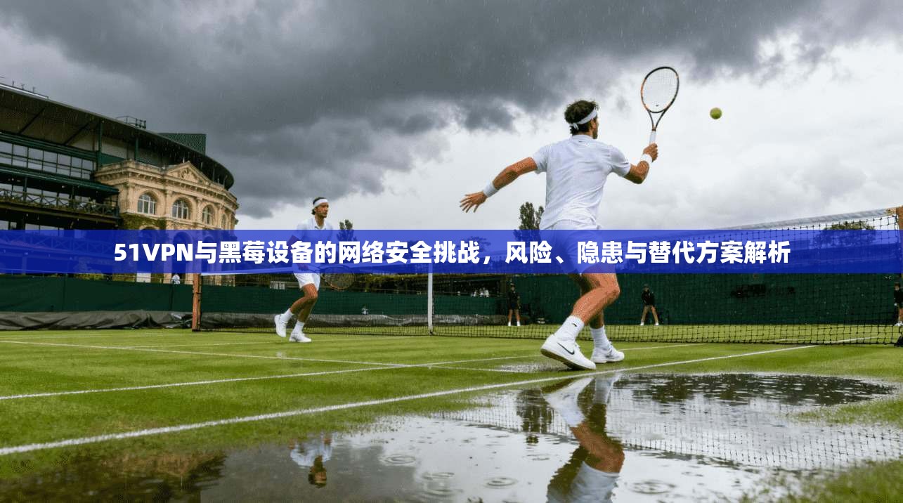 51VPN与黑莓设备的网络安全挑战，风险、隐患与替代方案解析