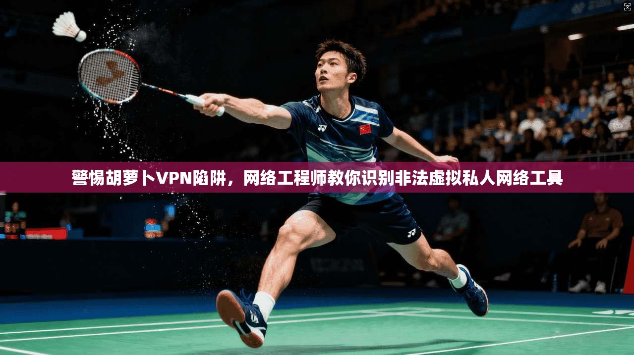 警惕胡萝卜VPN陷阱，网络工程师教你识别非法虚拟私人网络工具