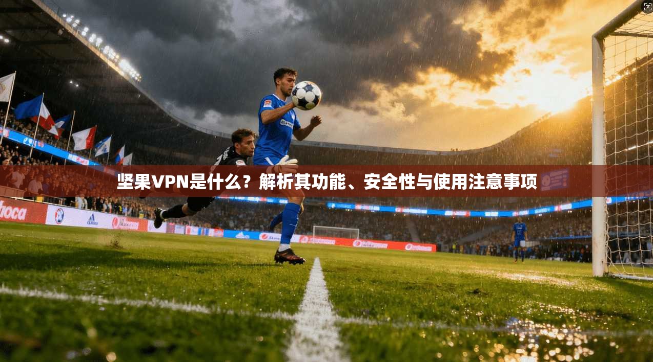 坚果VPN是什么?解析其功能、安全性与使用注意事项 坚果VPN是什么?解析其功能、安全性与使用注意事项
