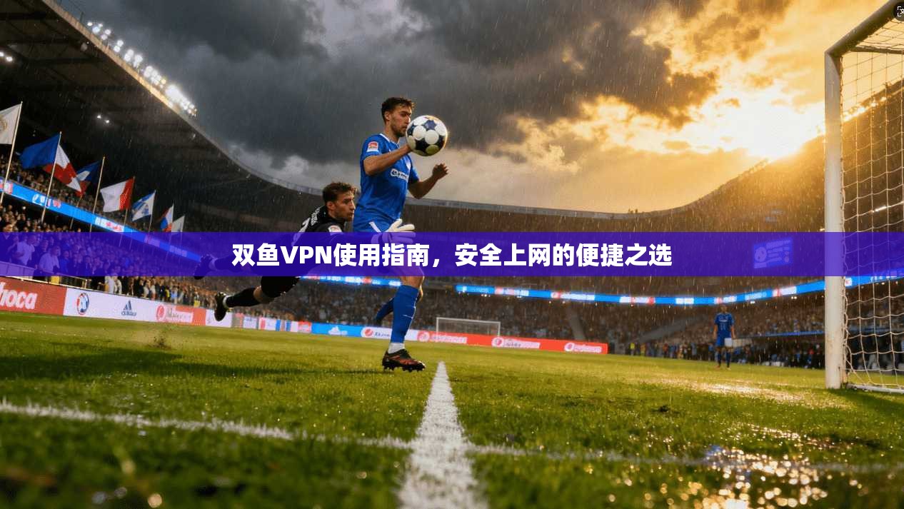 双鱼VPN使用指南，安全上网的便捷之选