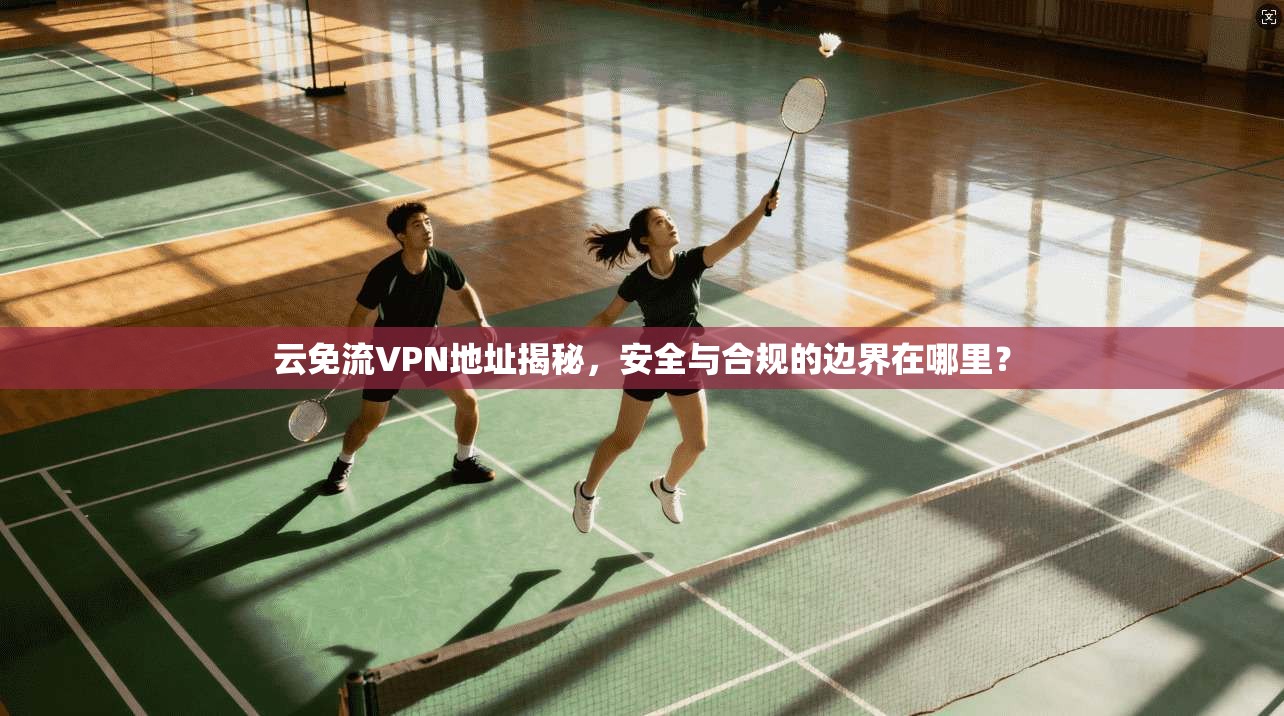 云免流VPN地址揭秘，安全与合规的边界在哪里？