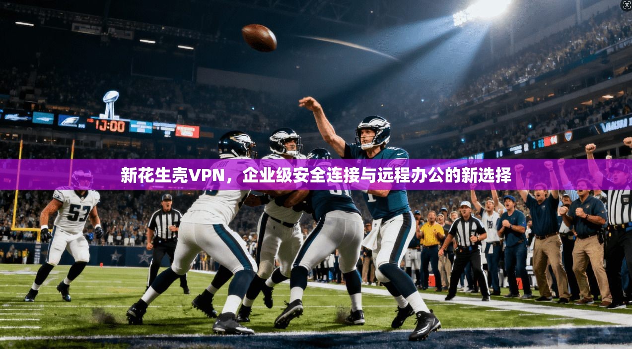 新花生壳VPN，企业级安全连接与远程办公的新选择