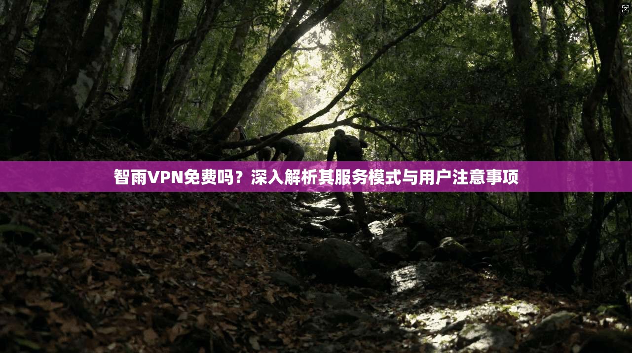 智雨VPN免费吗?深入解析其服务模式与用户注意事项 智雨VPN免费吗?深入解析其服务模式与用户注意事项
