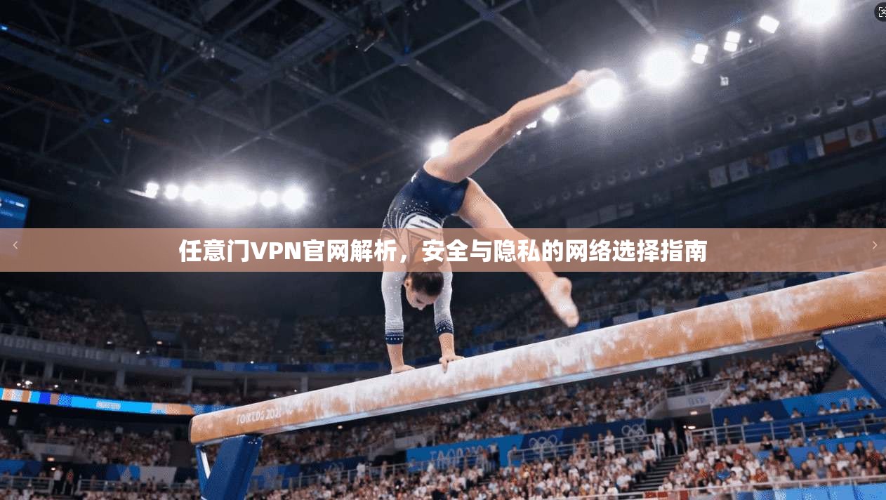 任意门VPN官网解析,安全与隐私的网络选择指南 任意门VPN官网解析,安全与隐私的网络选择指南