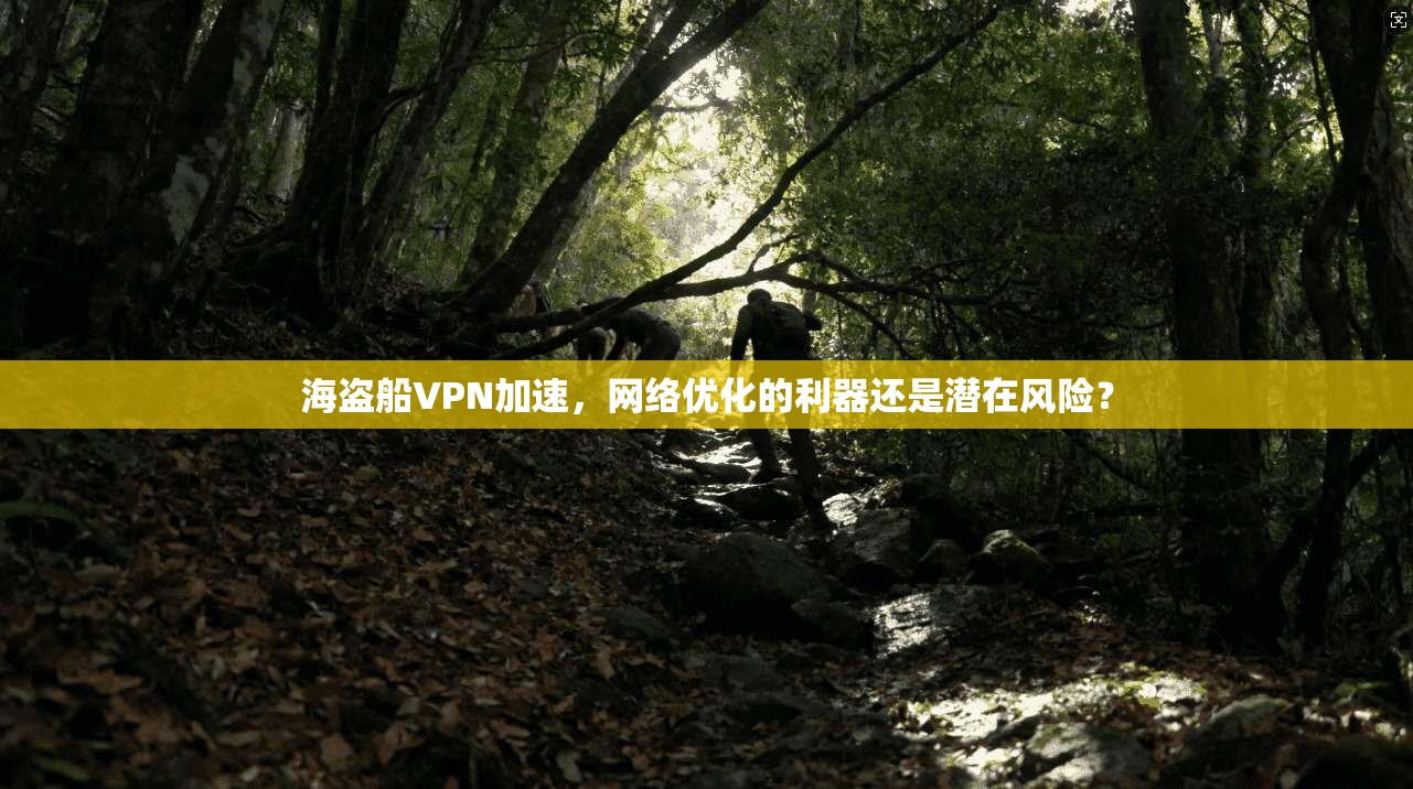 海盗船VPN加速，网络优化的利器还是潜在风险？