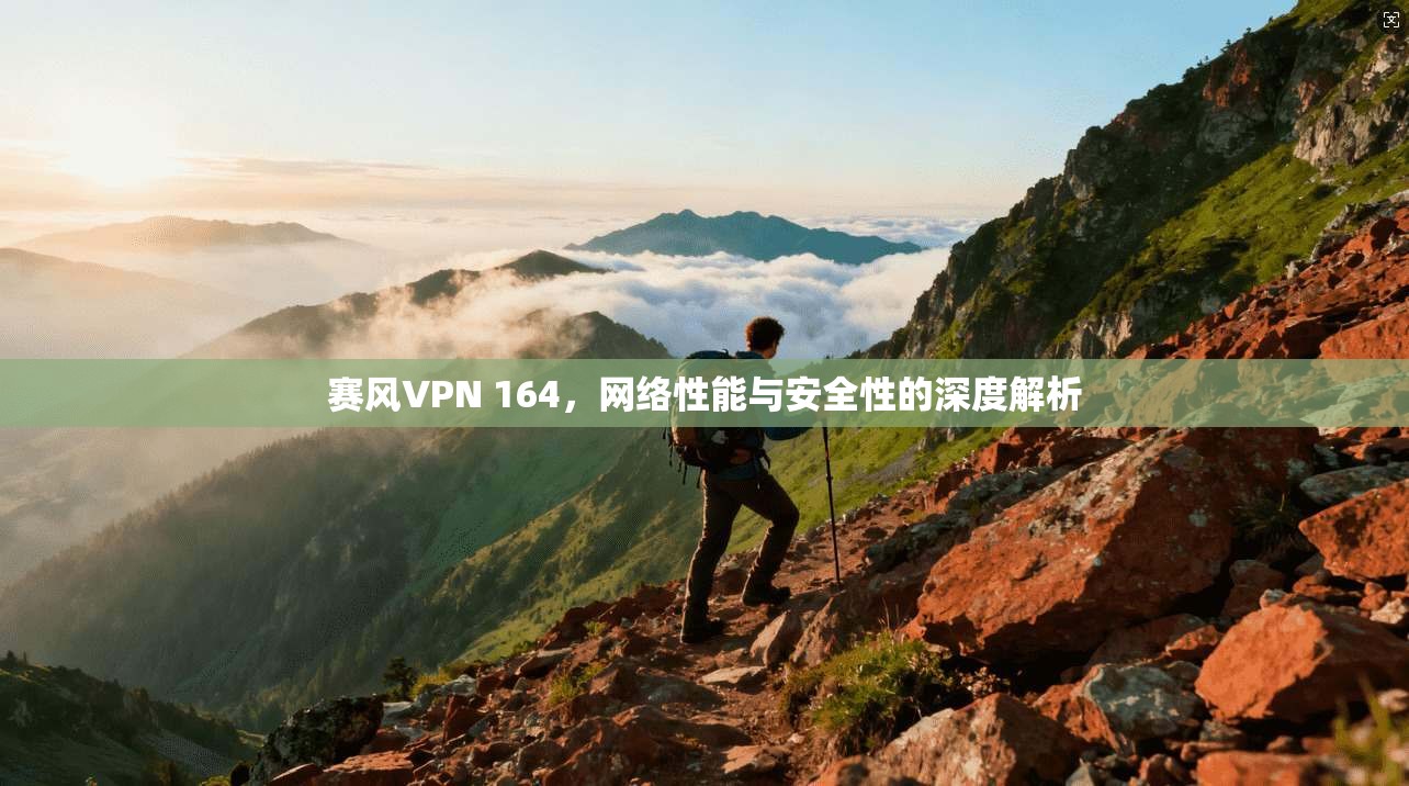 赛风VPN 164，网络性能与安全性的深度解析