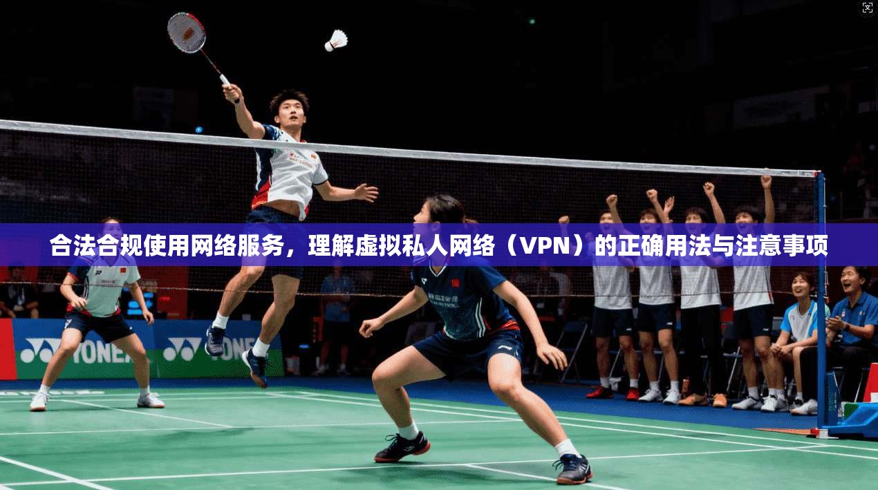 合法合规使用网络服务,理解虚拟私人网络(VPN)的正确用法与注意事项 合法合规使用网络服务,理解虚拟私人网络(VPN)的正确用法与注意事项