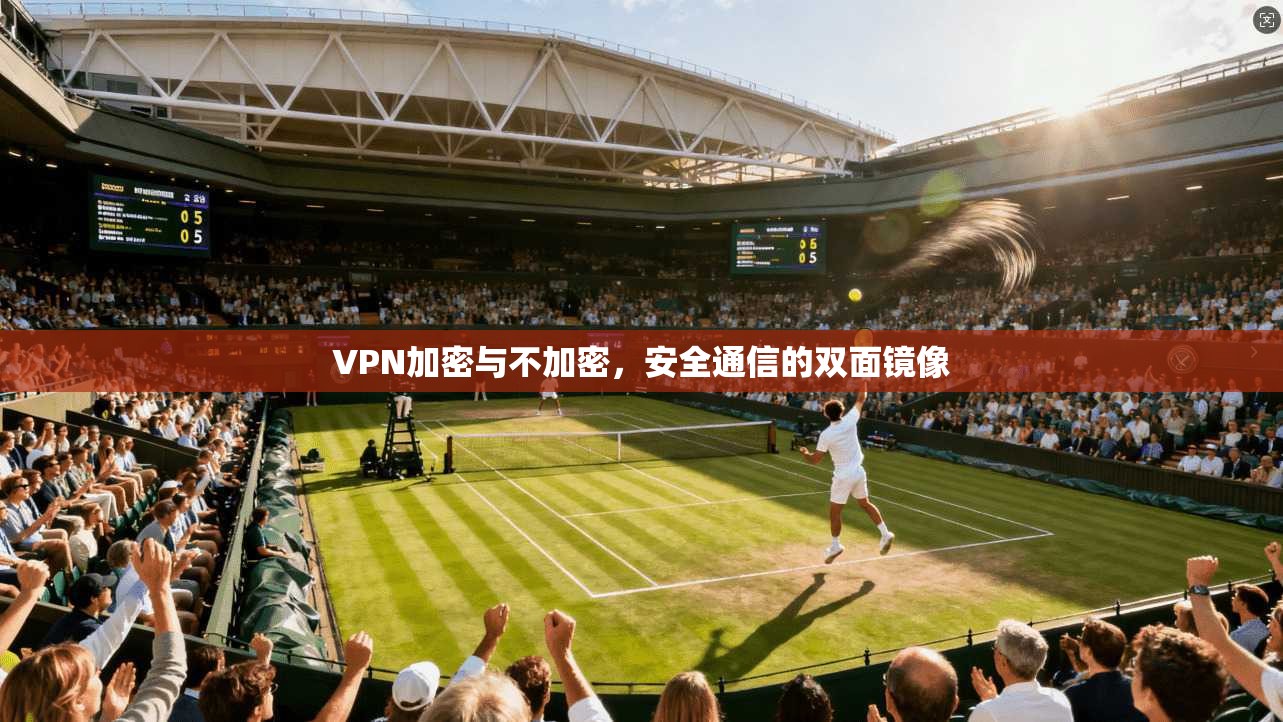 VPN加密与不加密，安全通信的双面镜像