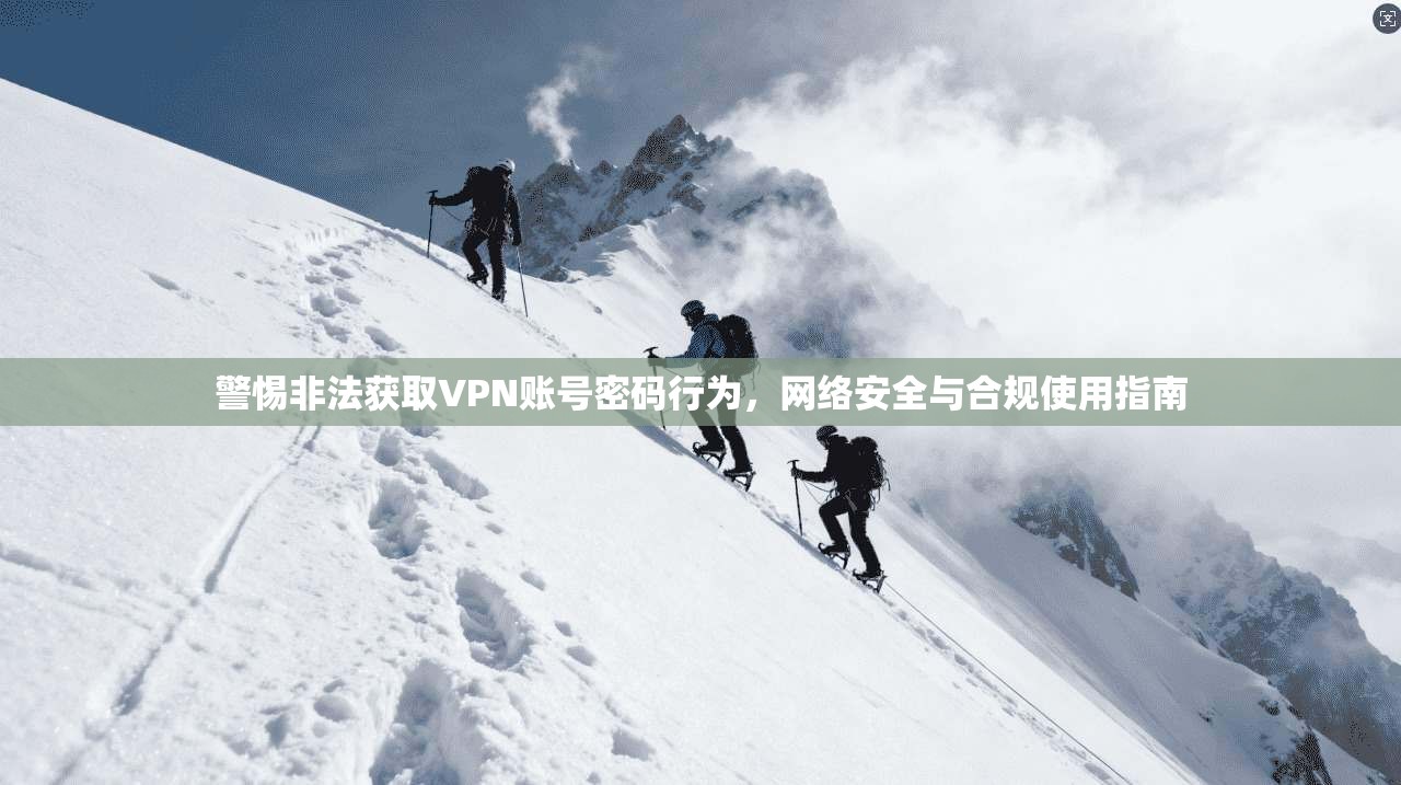 警惕非法获取VPN账号密码行为，网络安全与合规使用指南
