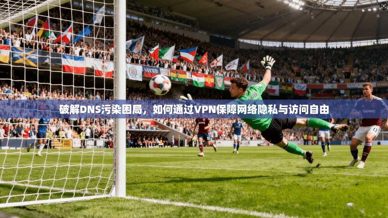 破解DNS污染困局，如何通过VPN保障网络隐私与访问自由