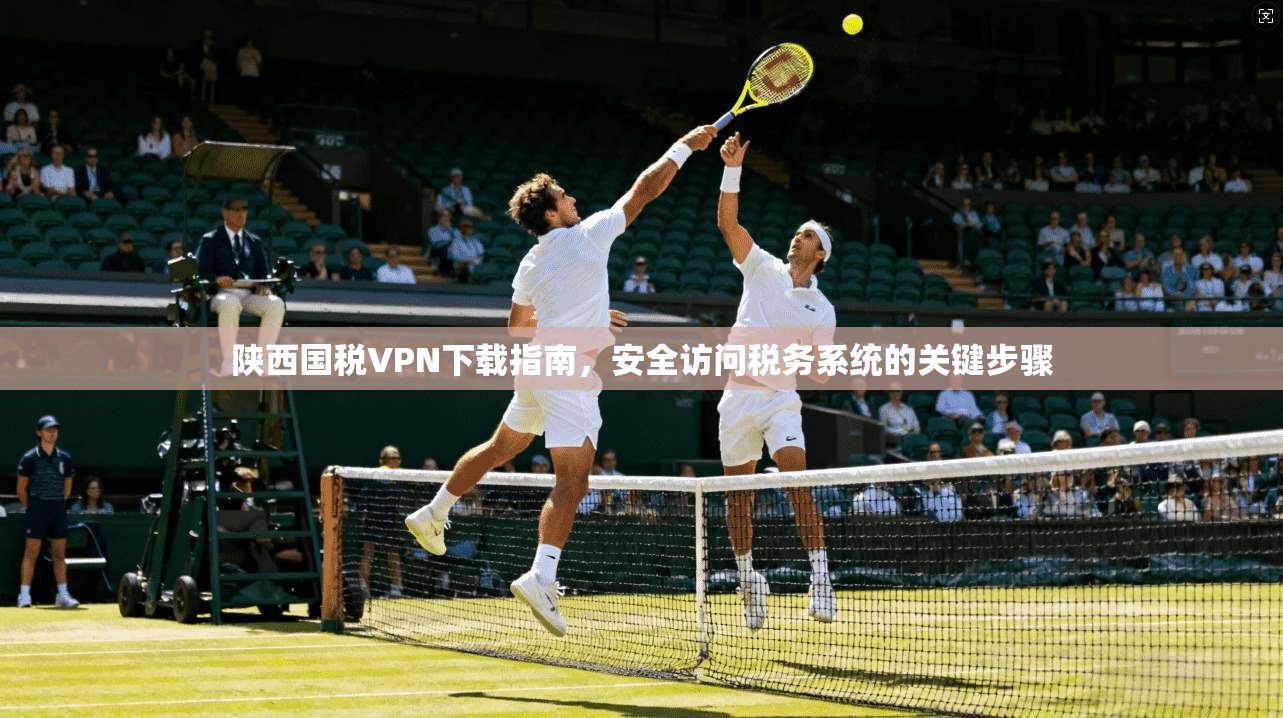 陕西国税VPN下载指南，安全访问税务系统的关键步骤