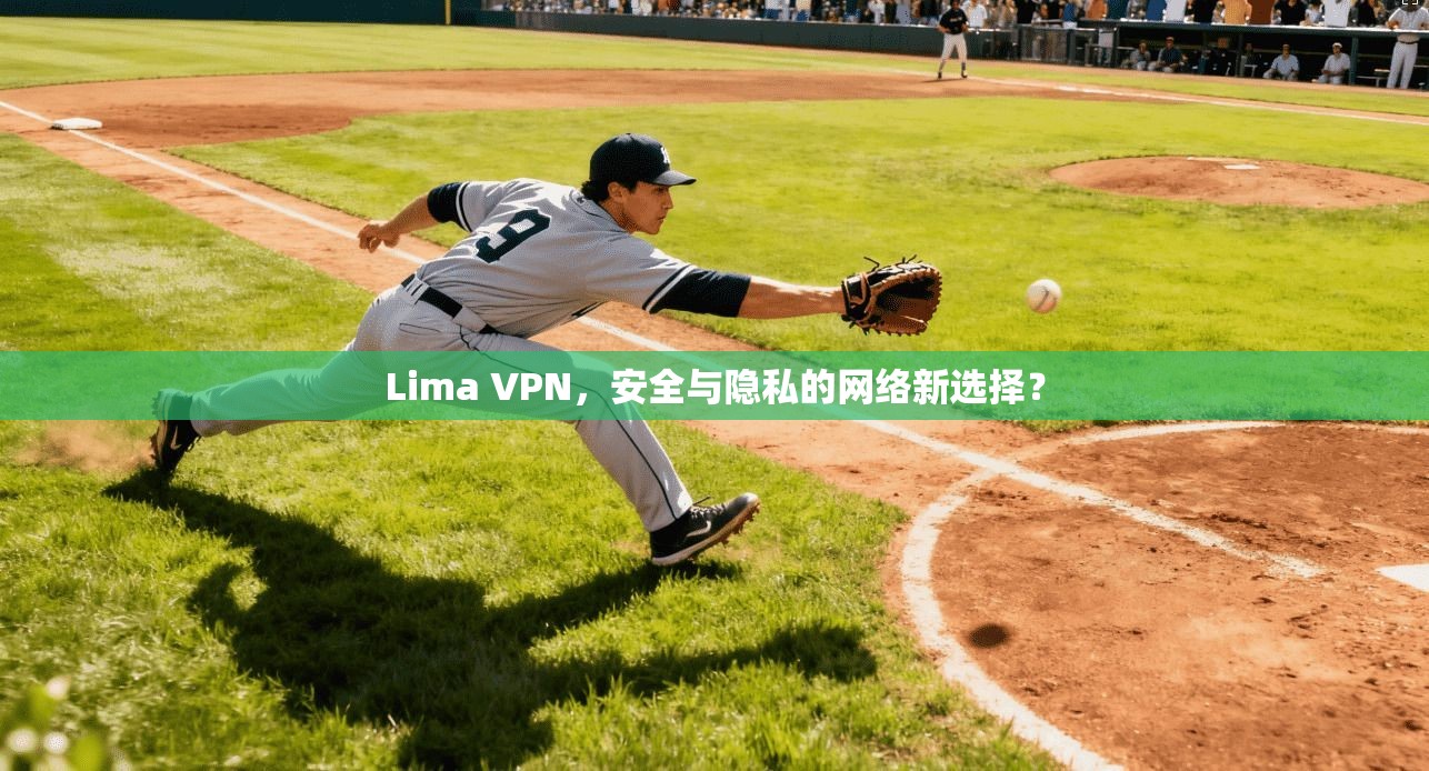 Lima VPN，安全与隐私的网络新选择？
