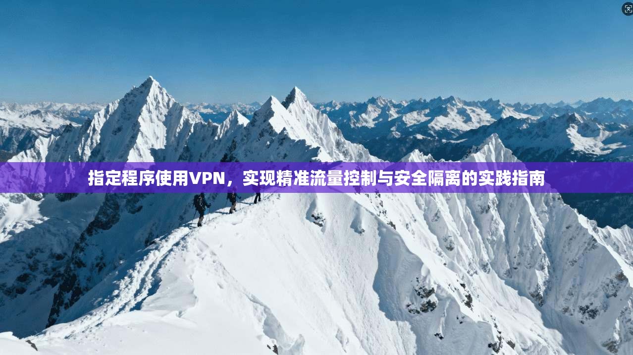 指定程序使用VPN，实现精准流量控制与安全隔离的实践指南