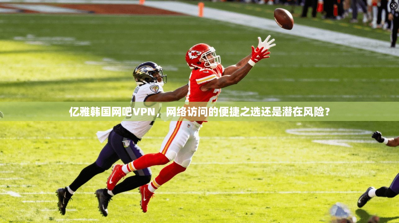 亿雅韩国网吧VPN，网络访问的便捷之选还是潜在风险？