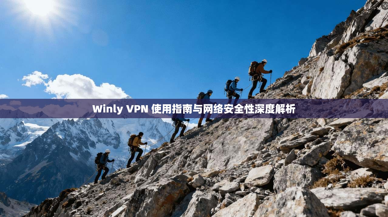 Winly VPN 使用指南与网络安全性深度解析