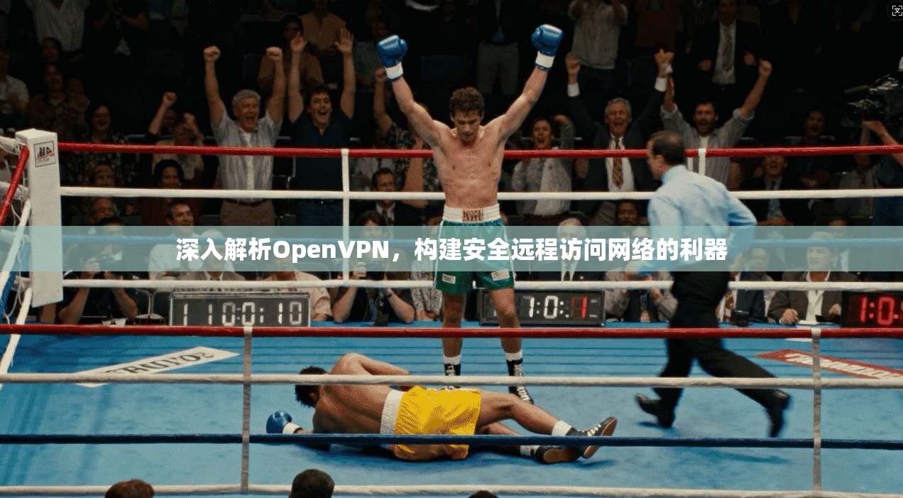 深入解析OpenVPN，构建安全远程访问网络的利器