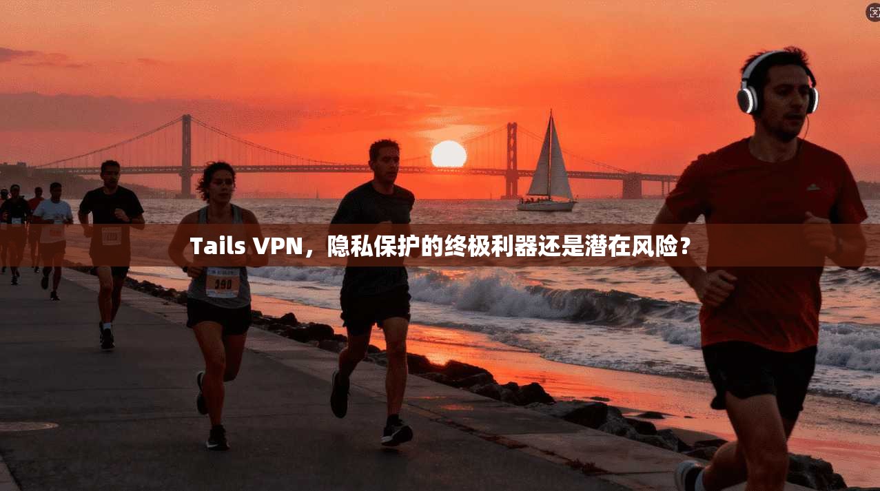 Tails VPN，隐私保护的终极利器还是潜在风险？