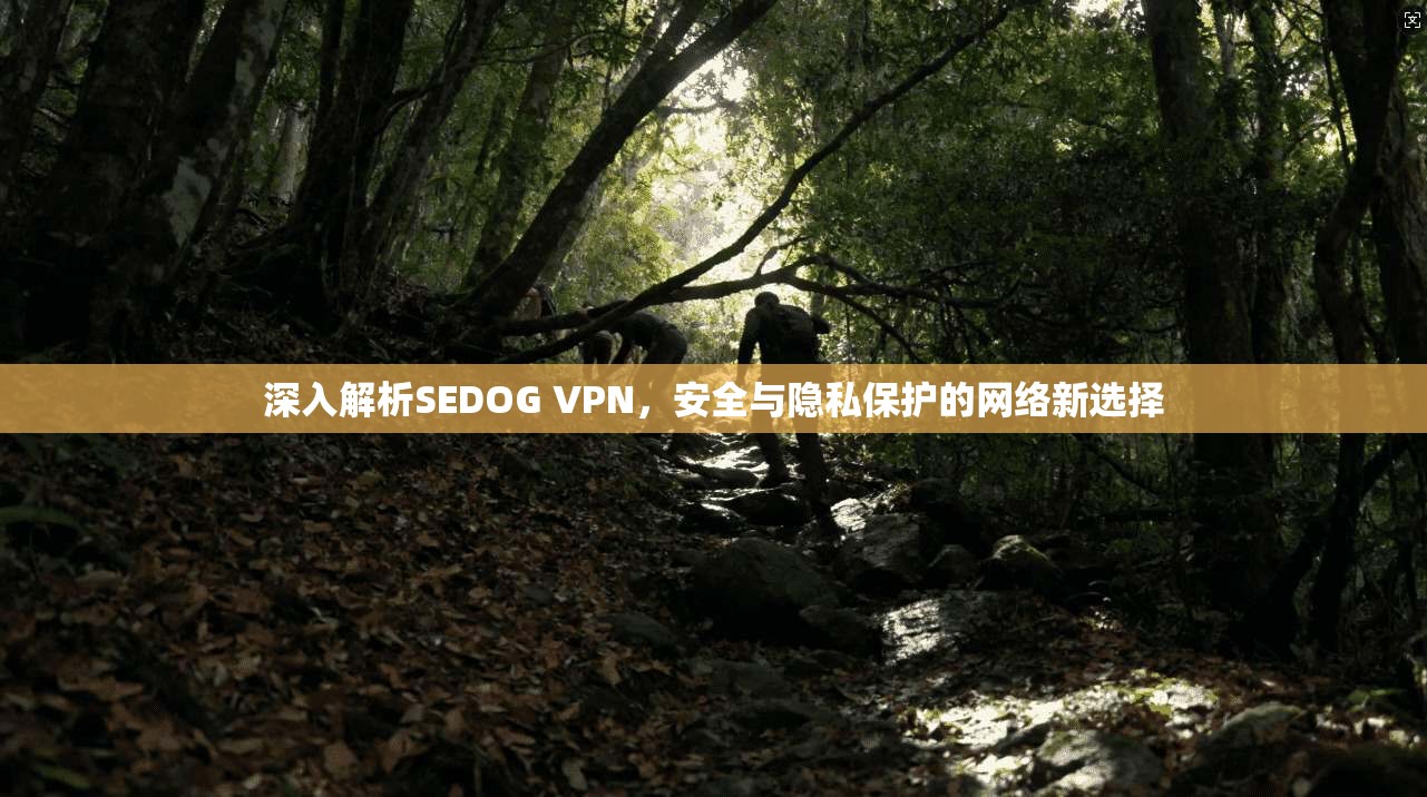 深入解析SEDOG VPN，安全与隐私保护的网络新选择
